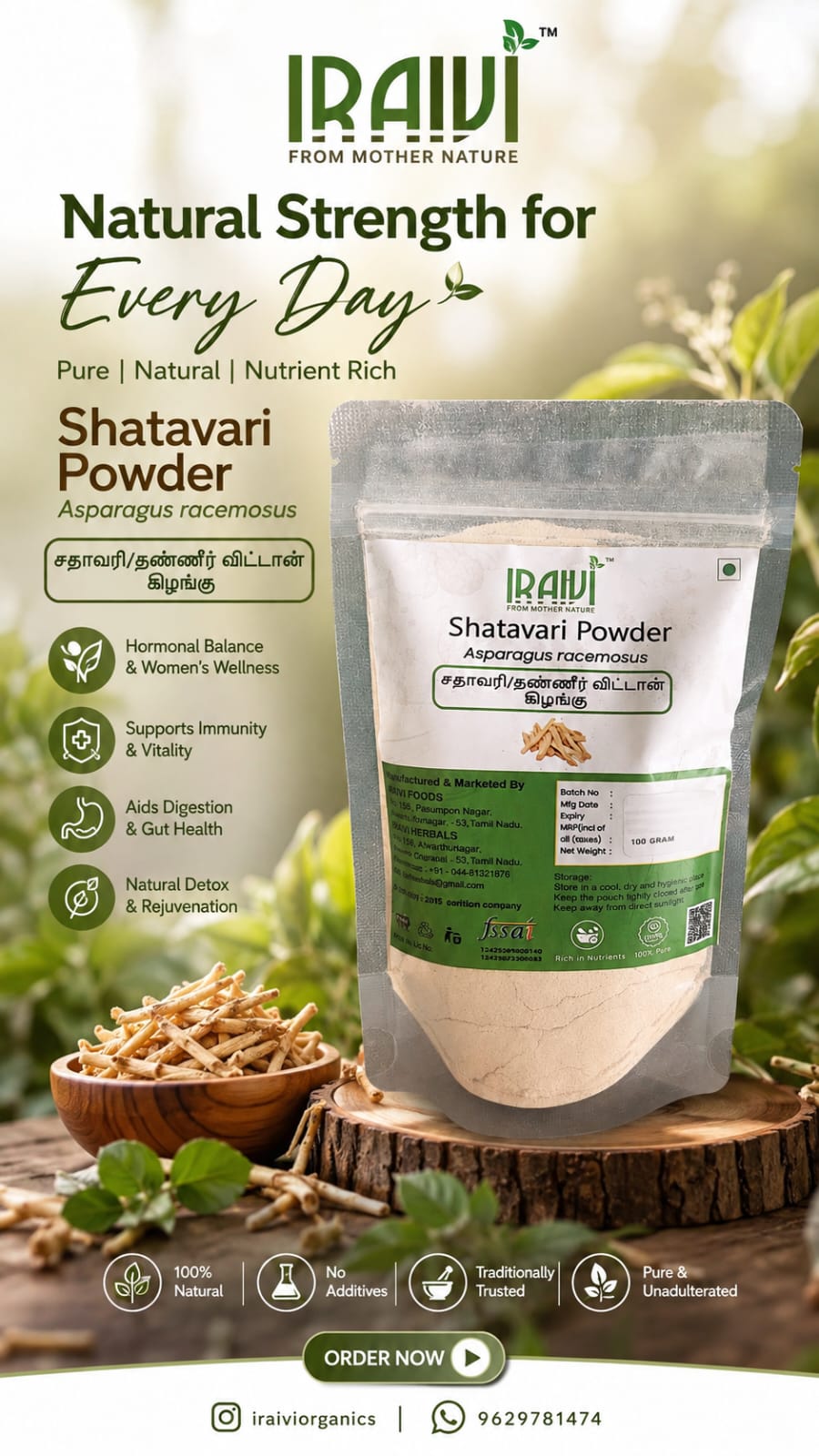IRAIVI Shatavari Powder | Asparagus racemosus | Natural Herbal Root Powder | 100g