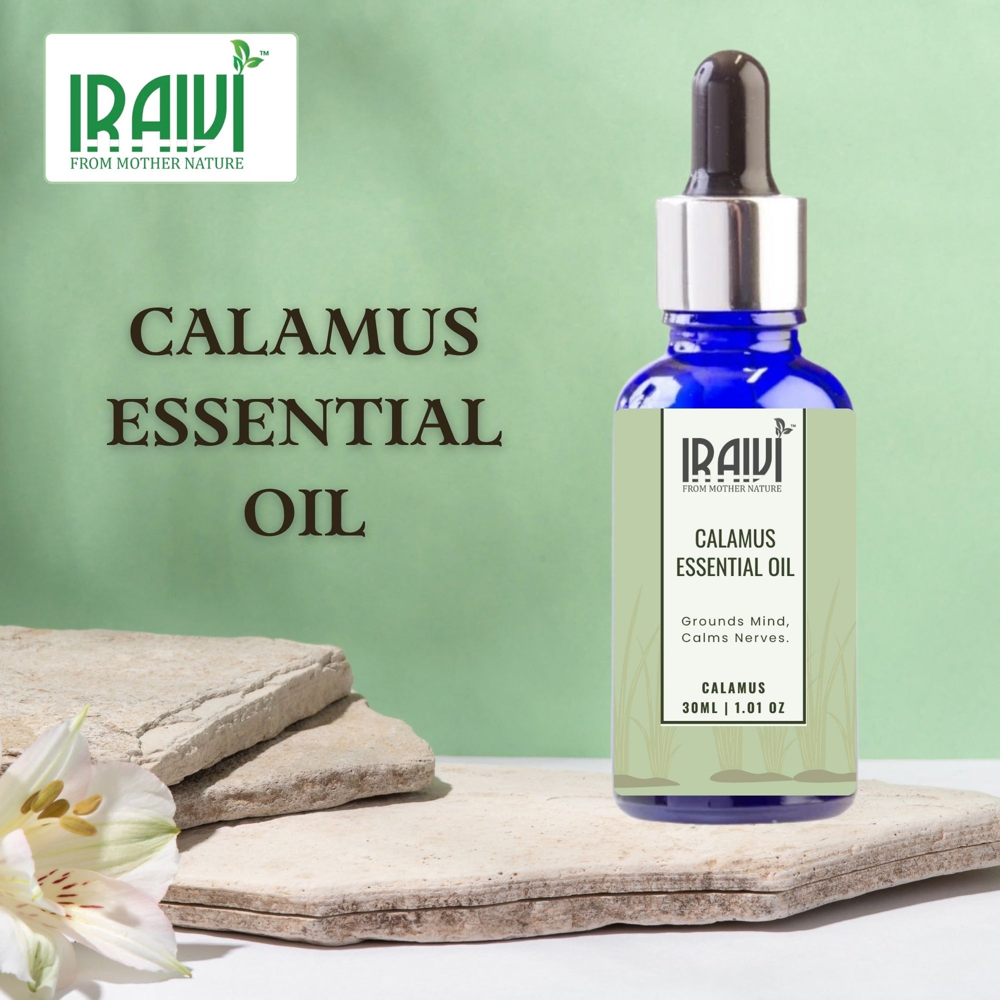 Calamus Essential Oil Bottle – Iraivi Organics Pure Essential Oil