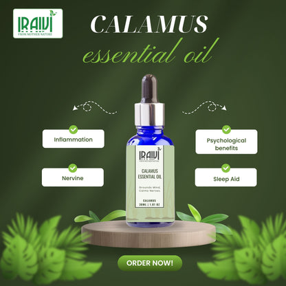 Calamus Essential Oil Bottle – Iraivi Organics Pure Essential Oil